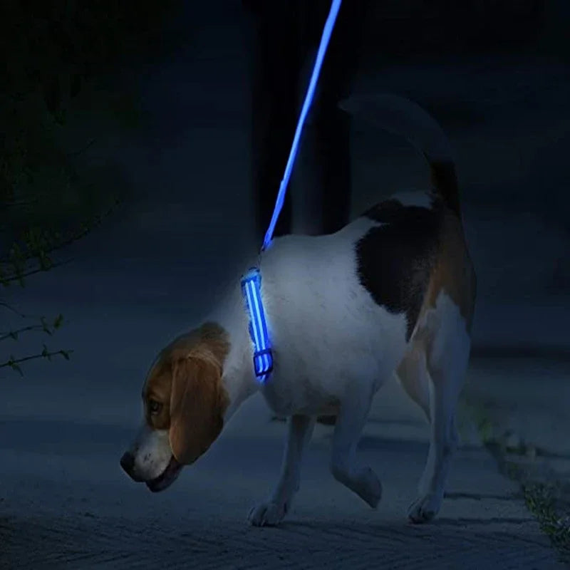 3 Modes Dog Luminous Charge Collar Led Usb Cat Dogs Collars Detachable Night Led Glow Dog Loss Prevention Collar Pet Accessories