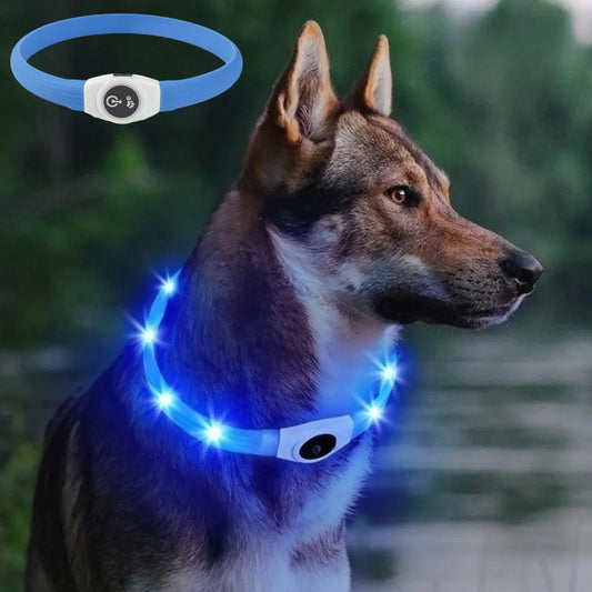 Pet Dog LED Light Collar Luminous Anti-Lost Dog Collar USB Rechargeable Dog Necklace Collar